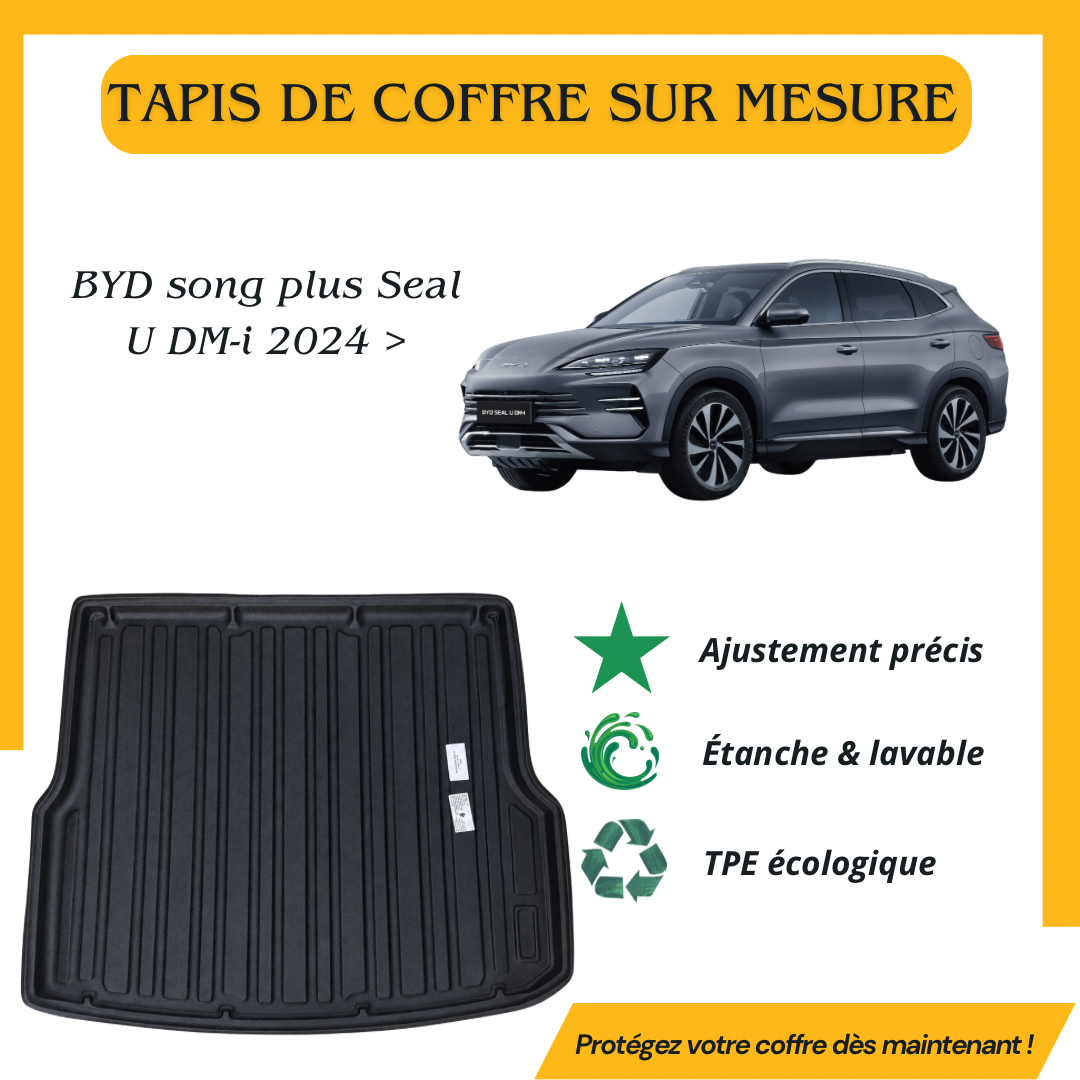 Tapis de coffre 4D BYD Song Plus Seal U DM-I 2024 >